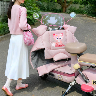 适用爱玛元 加绒加厚防水防寒play女 宇宙pro挡风被电动车防风冬季