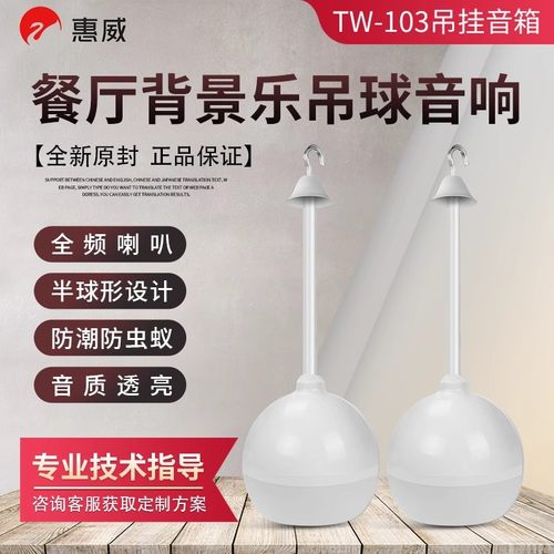 惠威TW-103背景音乐吊球音响餐厅背景乐全频喇叭音质透亮公共广播