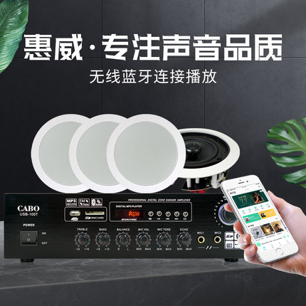 惠威VX5-C 定阻同轴吸顶喇叭天花吊顶音响嵌入式音箱蓝牙功放套装