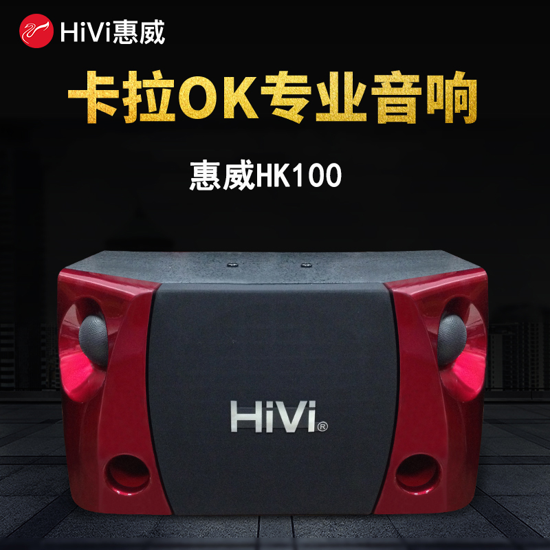 Hivi/惠威 HK100专业卡拉OK音响ktv家用音箱k歌会议壁挂音箱 影音电器 Hifi音箱 原图主图