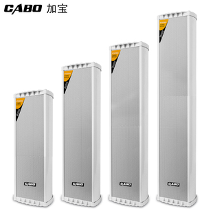 CABO户外音箱音响室外防水音柱校园家用挂壁式喇叭公共广播系统
