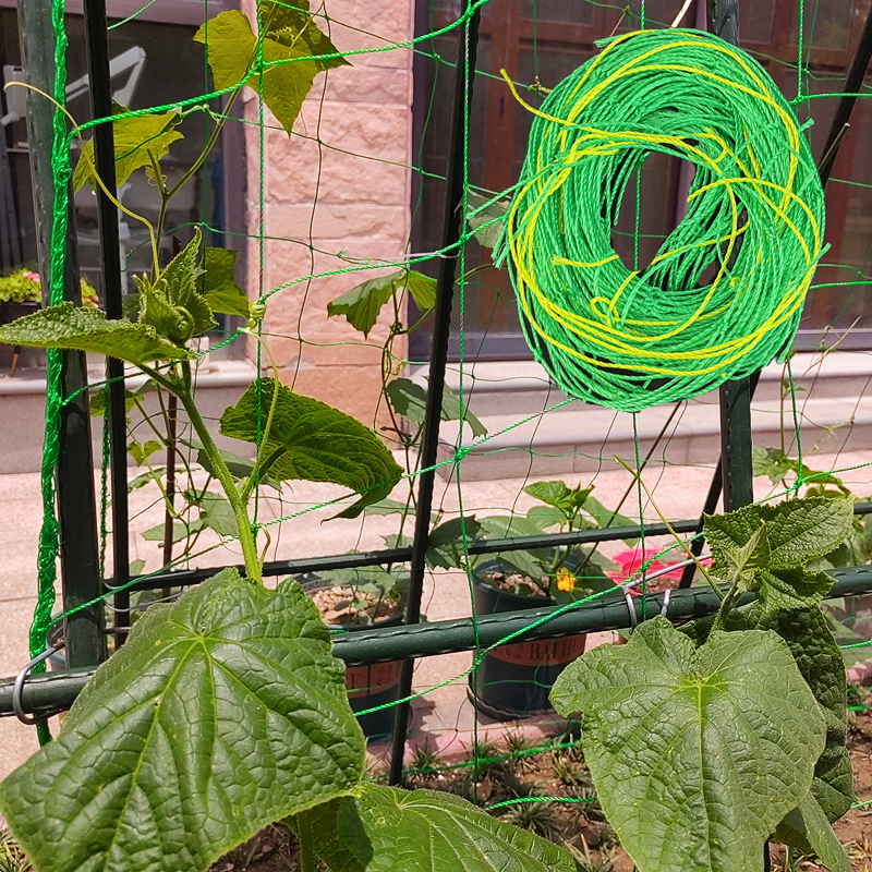 植物爬藤网家庭园艺黄瓜种植网丝瓜攀爬网百香果葫芦铁线莲攀援网