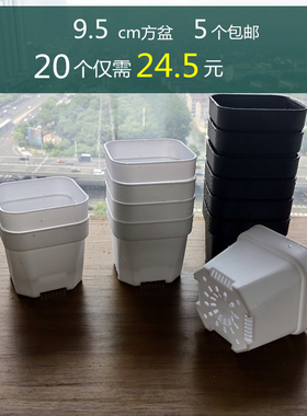 【20个中号】加厚塑料圆角多肉小黑方白色树脂方形小盆栽植物花盆
