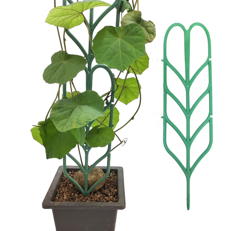 塑料可拼接植物攀援爬藤架支撑架