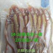 镜泊湖红尾鱼去内脏新鲜冷冻特产东北黑龙江牡丹江宁安