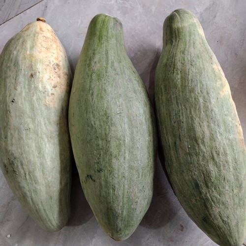 【保甜保面】老面瓜丑瓜黑龙江牡丹江宁安新鲜蔬菜