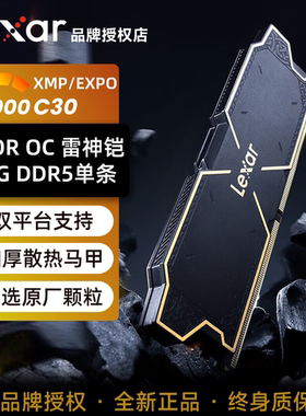 雷克沙 雷神铠DDR5 16G-6000-C30单条DDR5游戏内存台式机XMP EXPO