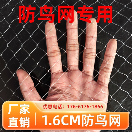 防鸟网1.6网孔果树果园尼龙樱桃葡萄梨树草莓大棚阳台抗老化养殖