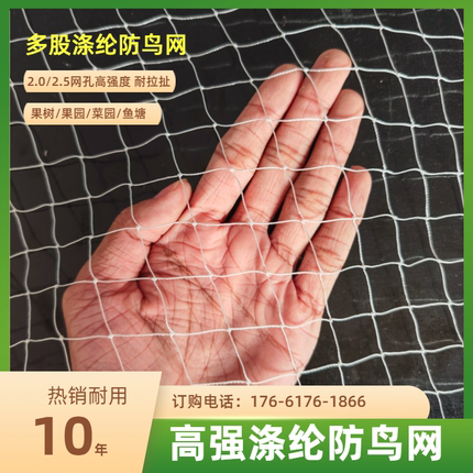 防鸟网果树果园樱桃葡萄梨树草莓鱼塘户外大棚涤纶线养殖防鸟神器