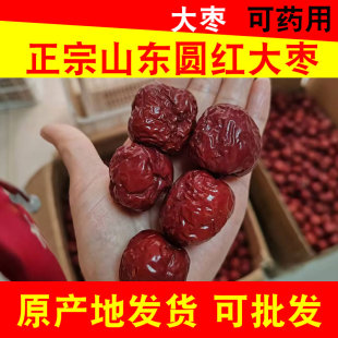 山东圆铃枣宁阳大枣泡水喝圆红枣干枣入药引泡茶红枣散装批发