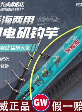 光威大导环滑漂矶竿闪电矶手海两