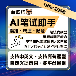 AI笔试助手 AI笔试辅助 线上辅助 interviewcoder 直接拍自动发货
