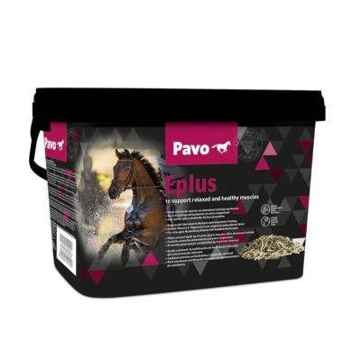 荷兰pavo马匹肌肉排酸肌肉养护运动恢复马添加剂保健品营养Eplus