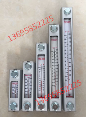 液位计 油位计 水位计 YWZ-100T YWZ-150T YWZ-200T YWZ-250T油标