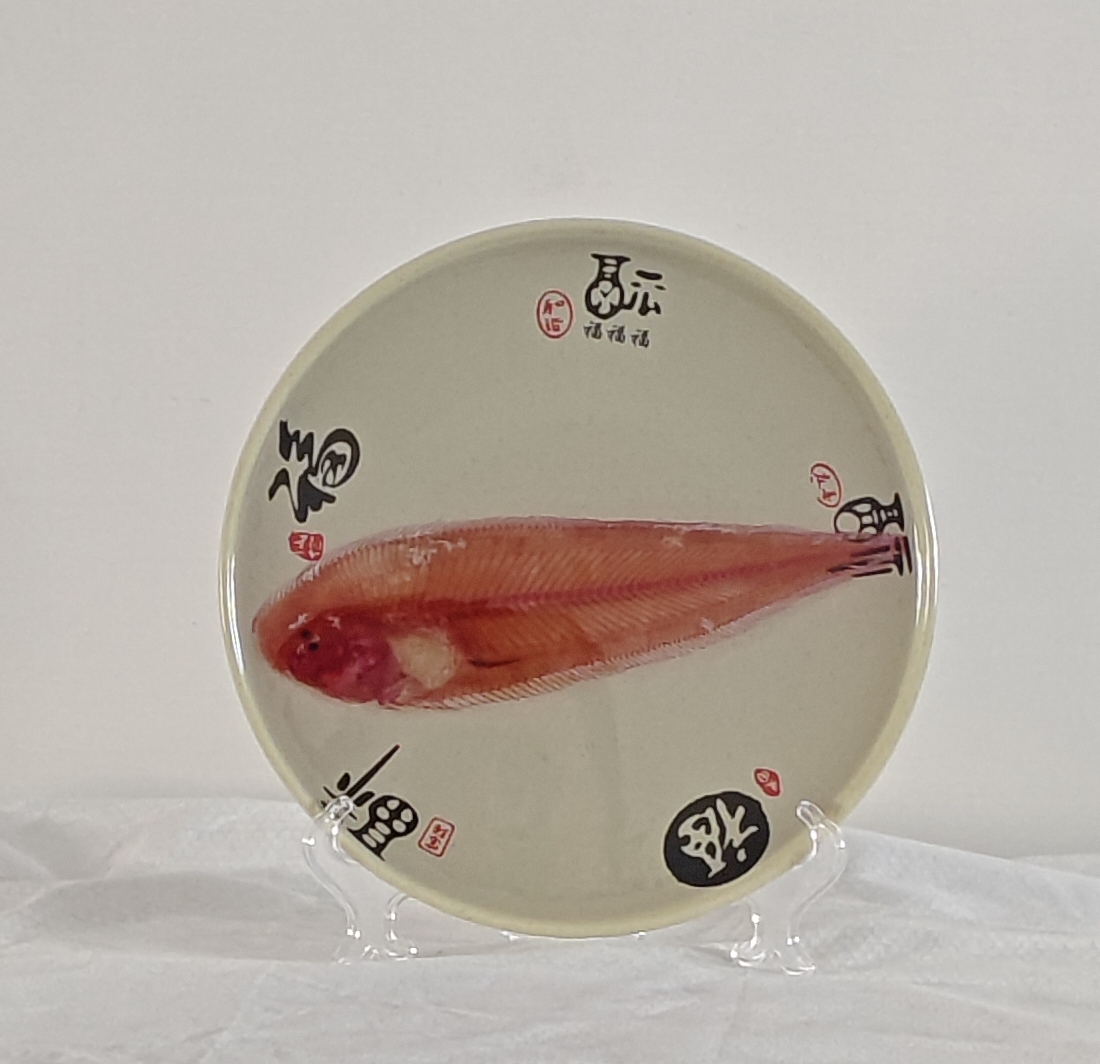 透明条鳎骨骼标本科普陈列生物课办公室摆件个性礼品收藏伴手礼