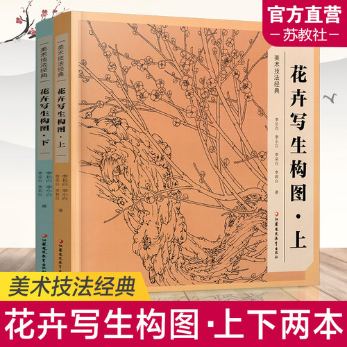 花卉写生构图上下2本套装