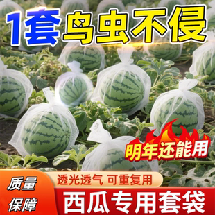 西瓜專用防果蠅套袋防蟲(chóng)防鳥(niǎo)果袋神器不積水透氣透光瓜果蔬菜通用