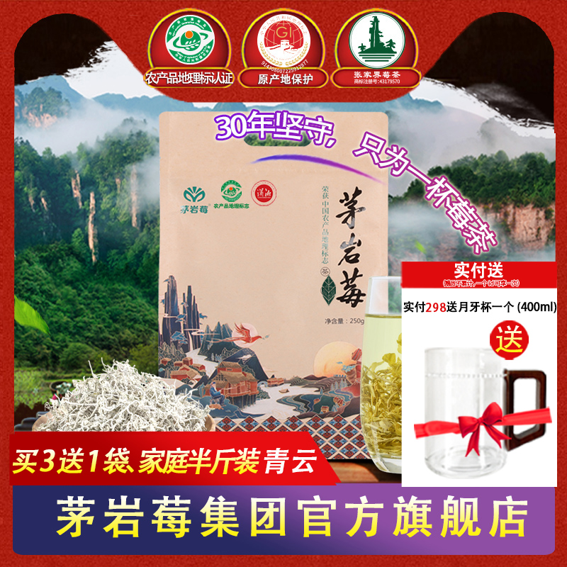 养生茶茅岩莓嫩叶芽尖张家界莓茶