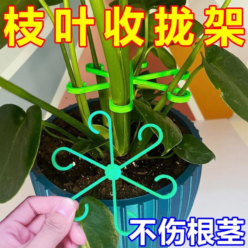 速发龟背盆春羽支撑固定器防倒伏绿植物水培枝干花竹架园艺花卉收