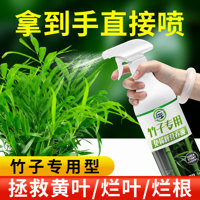 速发竹子免释稀营物液肥料家用盆栽植养肥室内养花绿植通用型