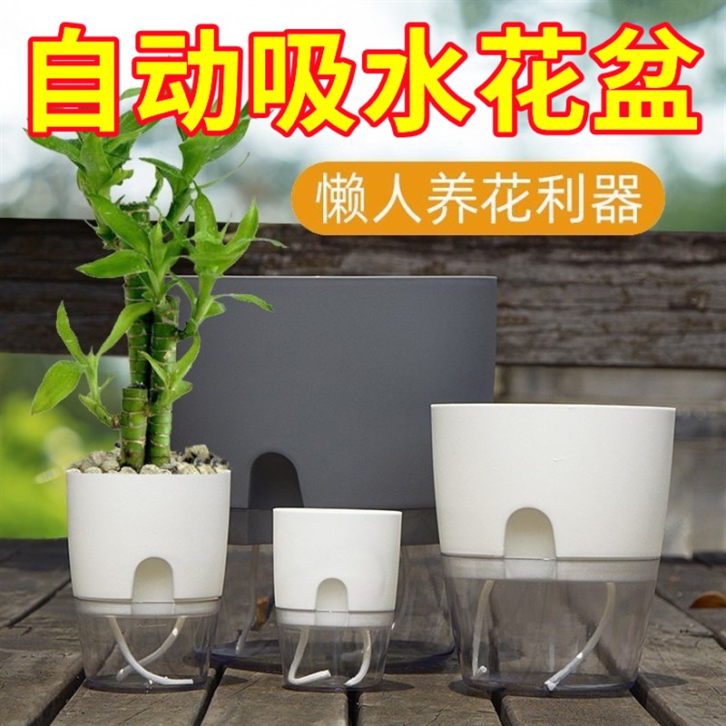 速发懒动自人吸水花盆简培仿陶瓷绿萝箩多肉室内水约自动吸水懒人