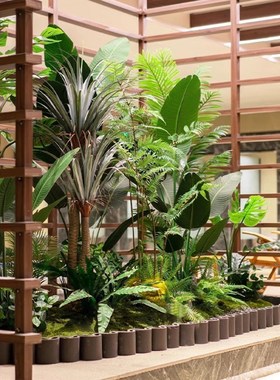 速发绿树组合造景楼梯下商场热带假植物景观内植室假盆栽装饰摆件