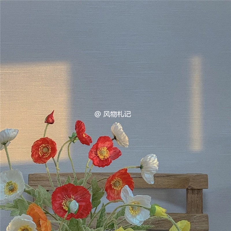 速发虞美人花 假花 背式家居装搭配拍摄韩景工作室民宿软装