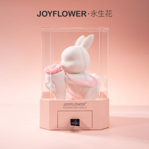 Joyflower兔美美永生花玫瑰花束干花生日礼物属小兔子送女生朋友