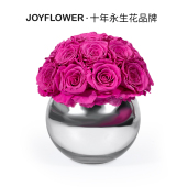 Joyflower永生花玫瑰花家居客厅摆件新婚乔迁生日情人母亲节礼物