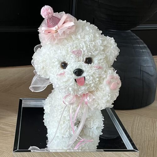 joyflower马尔济斯永生花真花