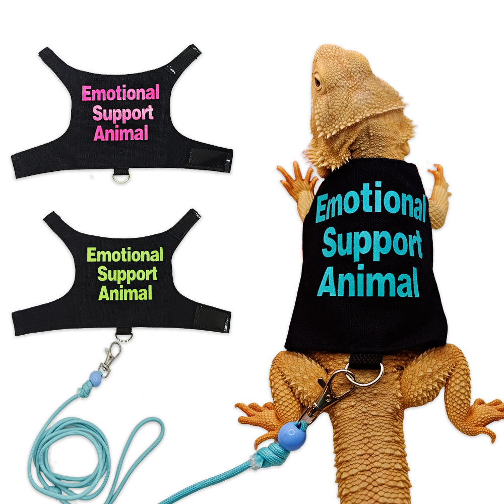 鬃狮蜥蜴牵引绳爬宠外出胸背带蓝舌守宫变色龙小鳄鱼松鼠衣服绳子