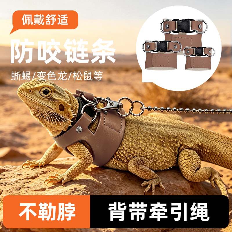 出口蜥蜴牵引绳爬宠外出胸背带变色龙守宫鬃狮蜥蜴户外牵引防丢绳