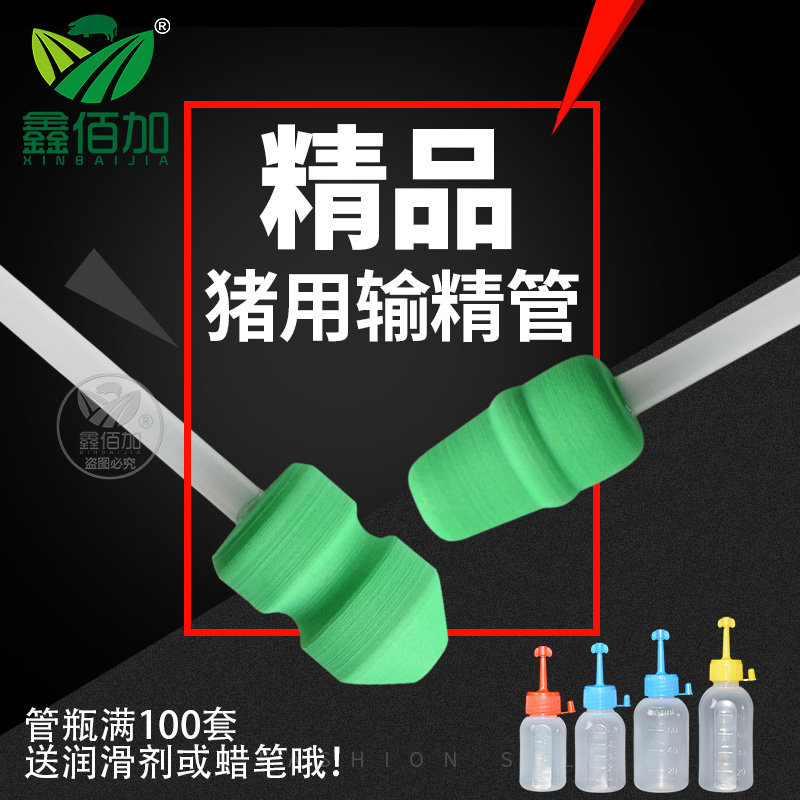 速发猪用受精瓶 洛克输用一次性输精管瓶 精品海绵头母猪猪精管耗