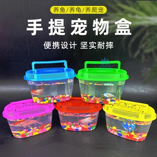 速发耐摔摆提便携盒乌龟盒盒运场盒带盖透明盒子商输手摊专用