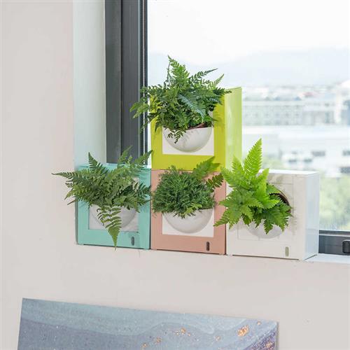 速发宜培堂 创意壁挂式相框立体水植花自 台客厅墙壁组合盆吸水吊