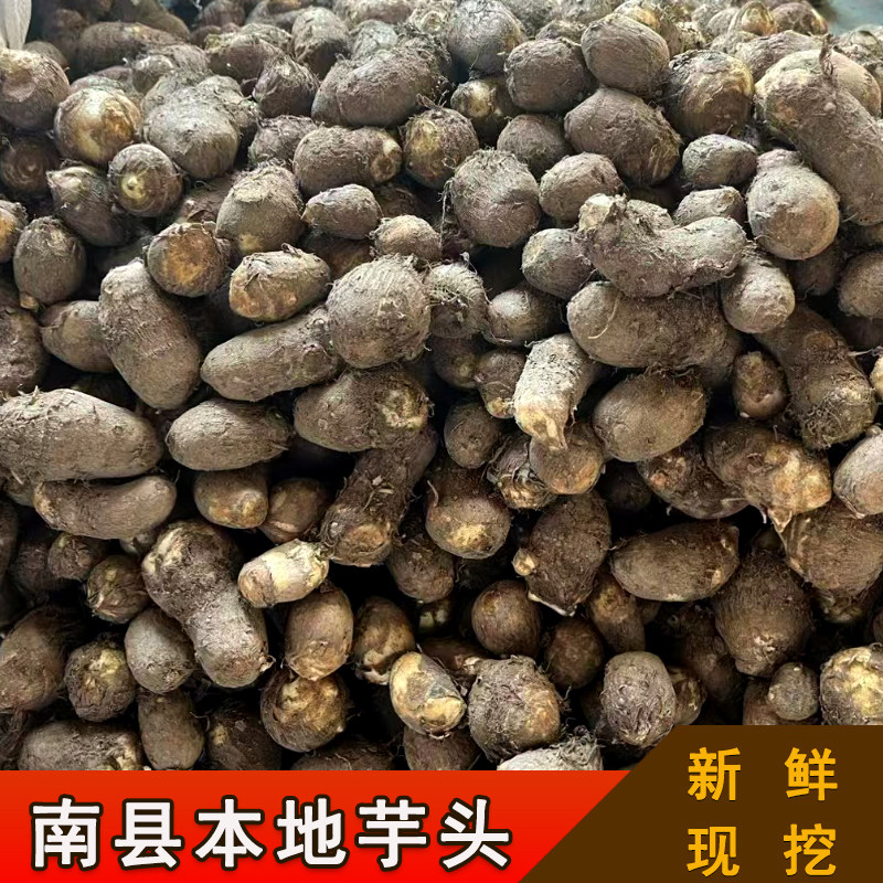 新鲜湖南南县正宗本地芋头农家现挖特产当季蔬菜牛奶芋毛芋头批发