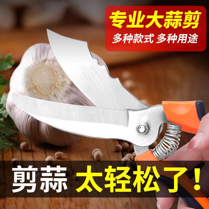 速发大蒜专用蒜刀剪蒜须杆修剪蒜神器剪根头切蒜根葱段洋葱剪子园