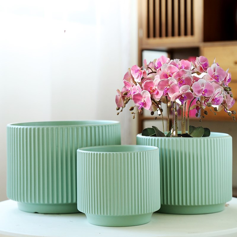 速发多肉花盆瓷陶绿口径家用大萝紫砂创意文竹绿植植物小盆景盆栽