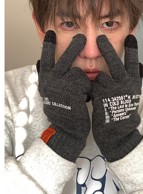 FINE STATE可触屏手套男冬季骑行保暖防寒秋冬男士男生针织手套