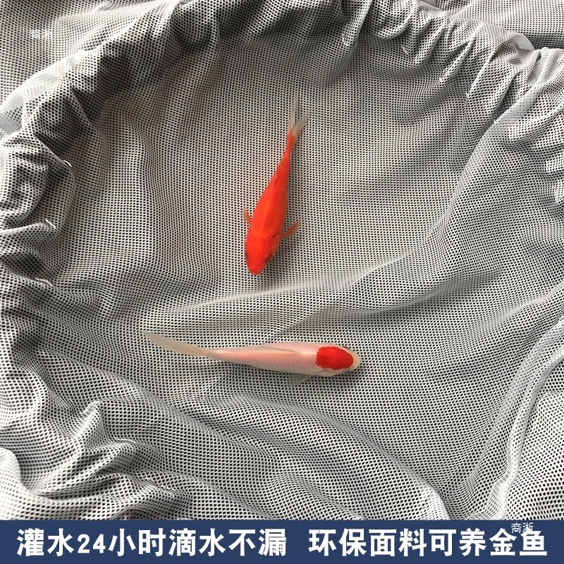 速发雨衣雨行套装长电全身防水男分体款动车外卖骑裤反光雨雨披