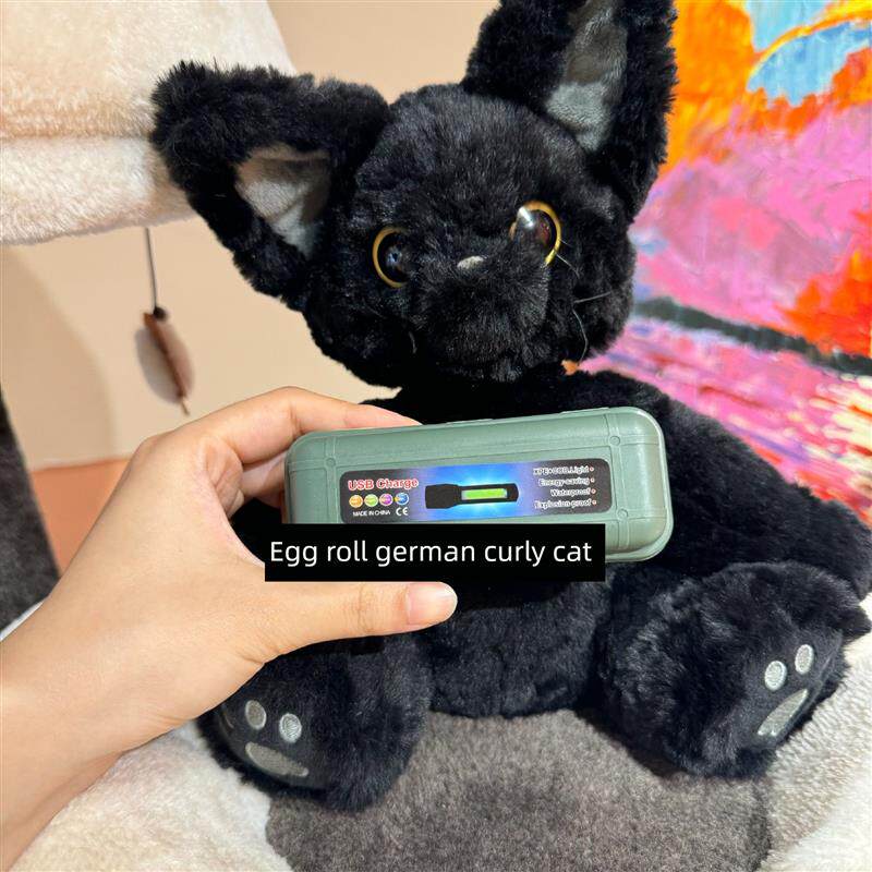现货伍德灯猫癣猫苔灯荧光剂检测充电防伪K货币检测10W迷你便携带