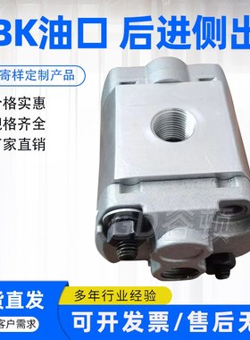 速发侧齿轮泵K--0.8/K-F1.6/K-F2.1/KFF.2后盖进油K面出油