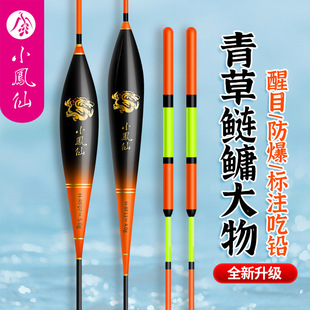 速发小凤行大物用鳙加粗手竿专鲢草鳊翘嘴仙程远投鱼漂