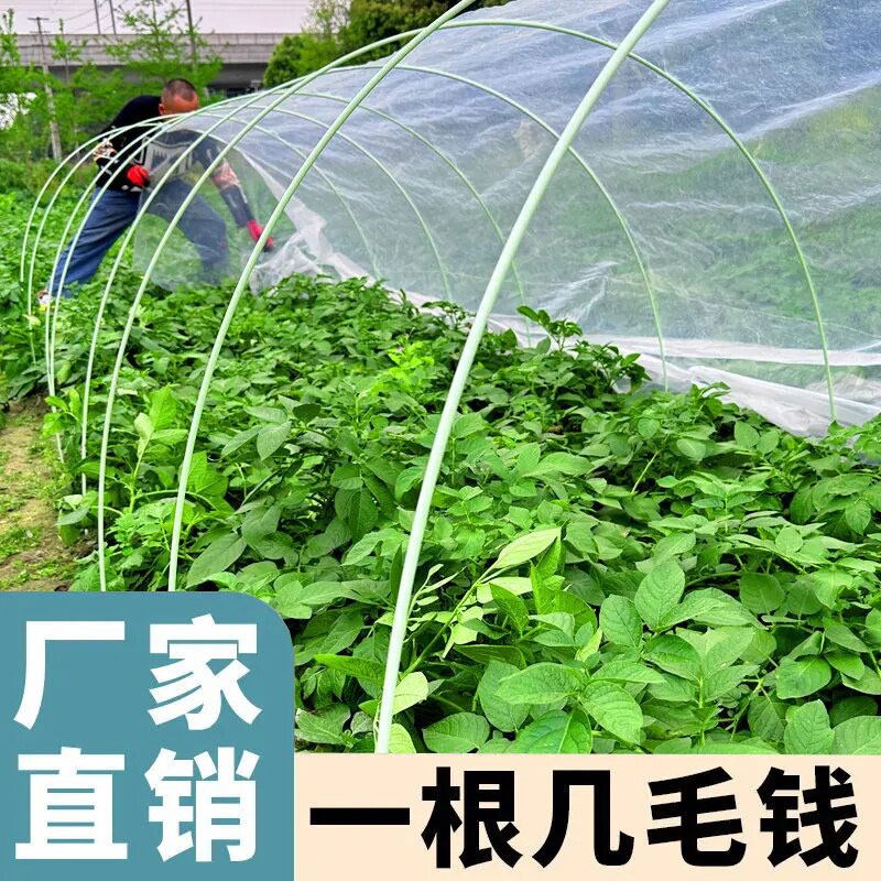 速发农用拱棚支架玻璃纤维杆搭棚大棚拱杆玻璃钢种菜家用蔬菜豆角