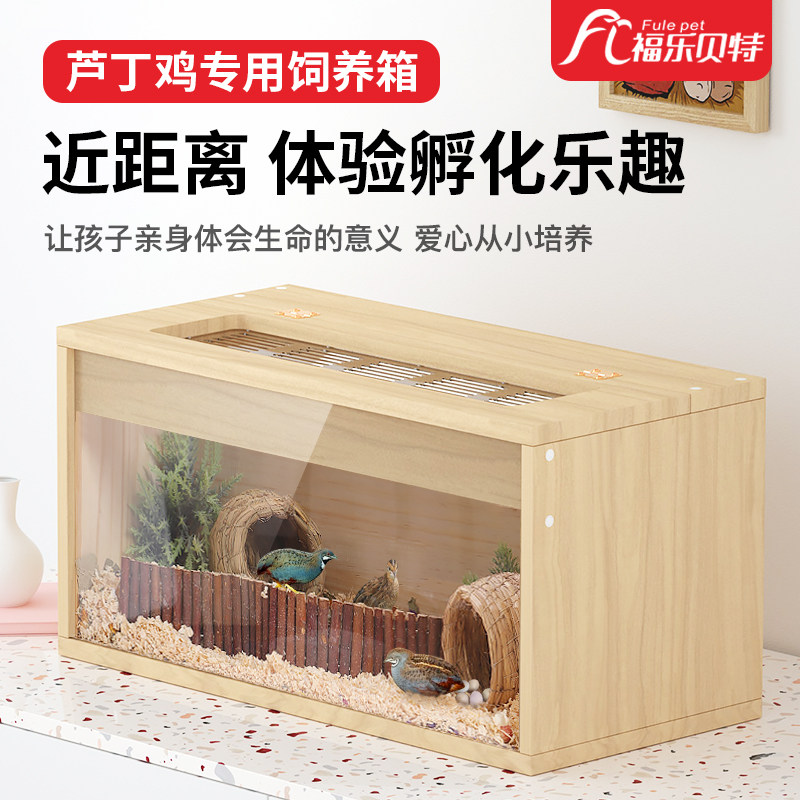 速发芦丁鸡饲养箱别墅专用窝鹌鹑养殖笼大号仓鼠笼保温箱卢丁鸡的