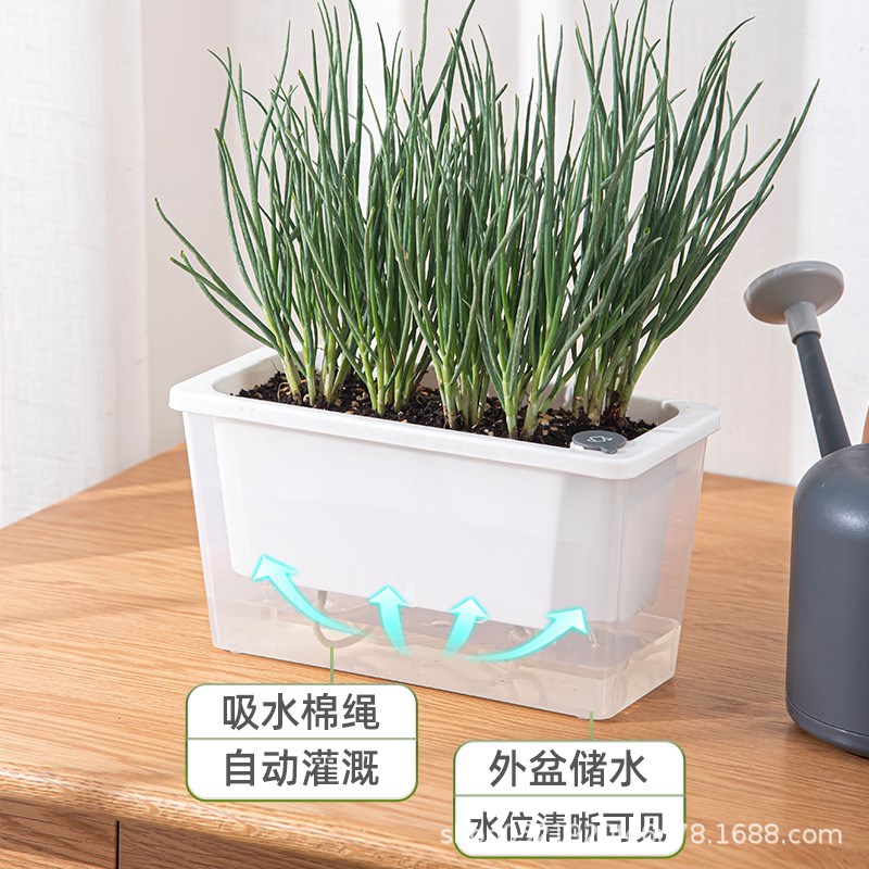 速发种葱台种吸盆窄小边缝种植盆家专用箱窗沿懒人菜自水花盆多肉