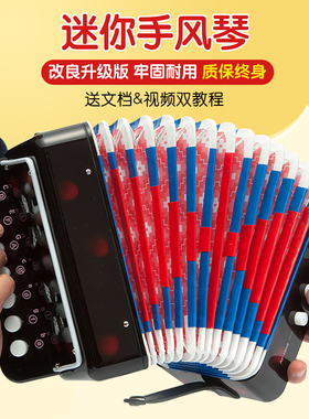 schylling儿童手风琴乐器玩具可弹奏手提琴宝宝启蒙音乐生日礼物