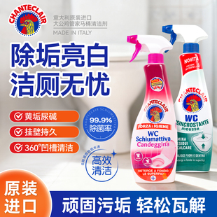 意大利大公鸡马桶清洁剂强力除垢抑菌除臭清洁异味消毒厕所洁厕灵