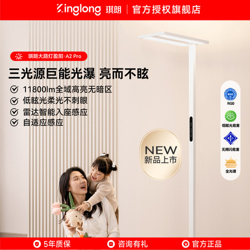 【新品】琪朗大路灯盈阳A2pro