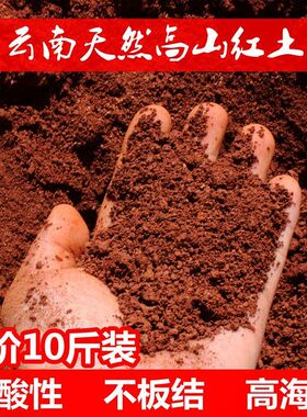 云南红土 种花种菜 茶花 杜鹃花 三角梅用土 种植土 一包10市斤